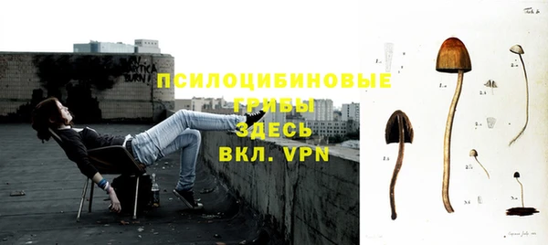 дмт Алексин