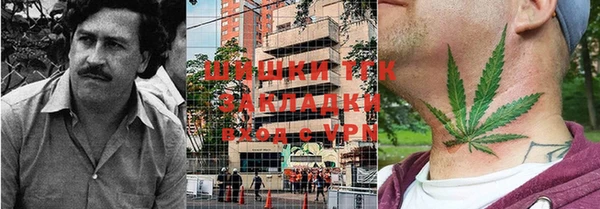 дмт Алексин