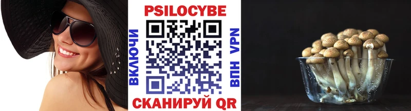 Псилоцибиновые грибы прущие грибы  Вышний Волочёк 